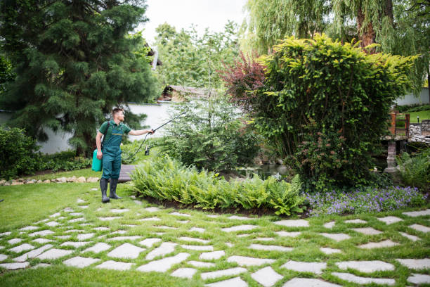 Best Best Pest Control Companies  in , SC
