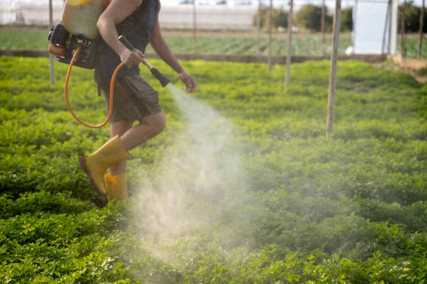 Best Mosquito Control Services  in , SC