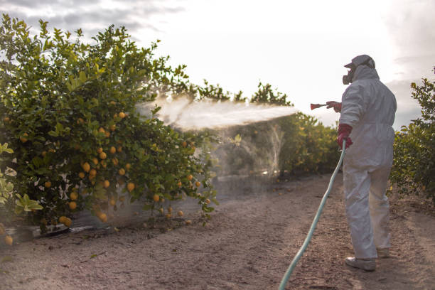 Best Emergency Pest Control  in , SC