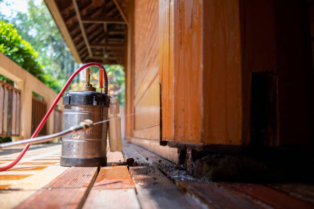 Best Affordable Pest Control Services  in , SC