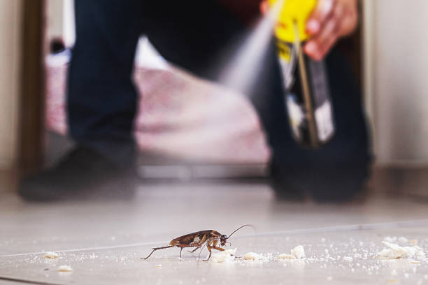 Best Affordable Pest Control Services  in , SC