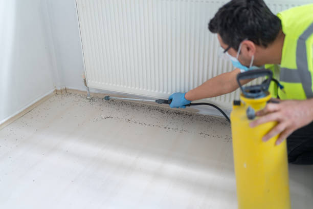 Best Residential Pest Control  in , SC